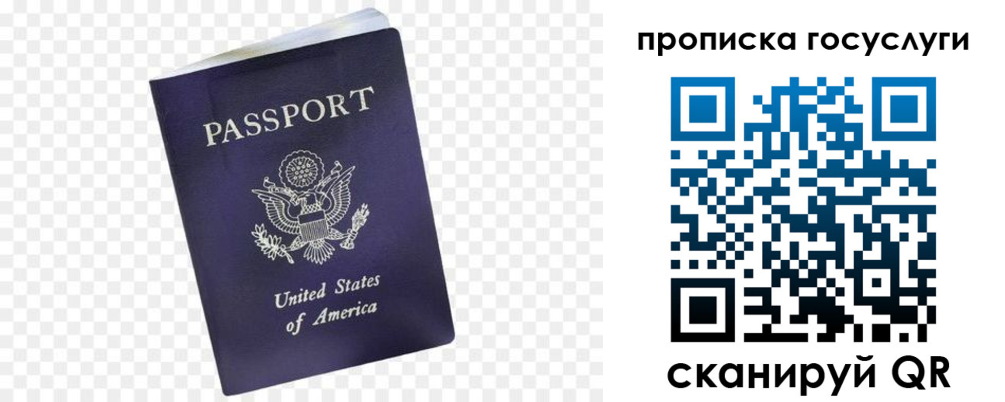 прописка поиск в Лесосибирске